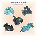 Variable Displacement piston Pumps